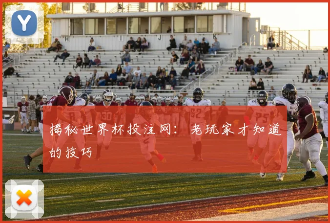 揭秘世界杯投注网：老玩家才知道的技巧